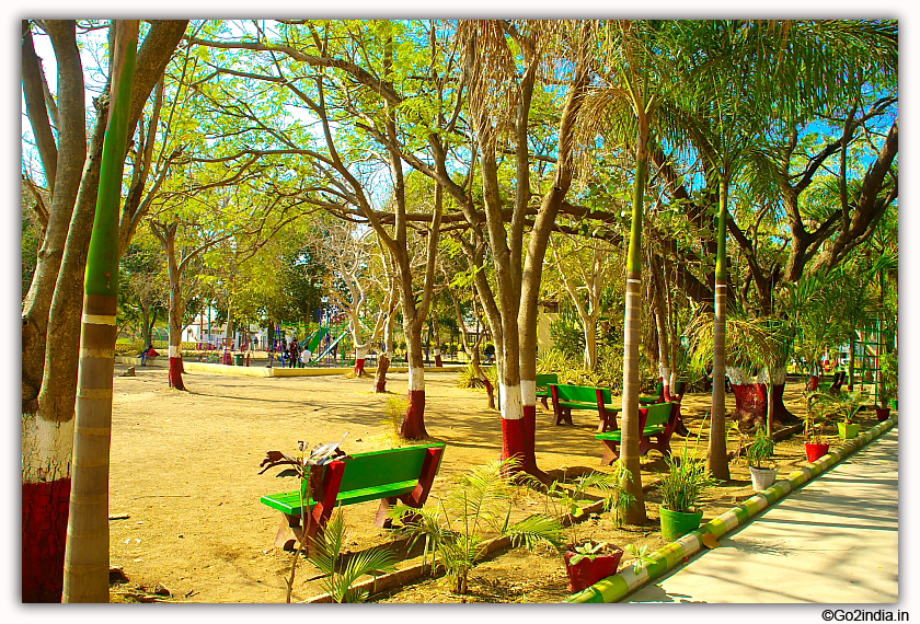 Sasan Gir Jungle Safari by Jeep