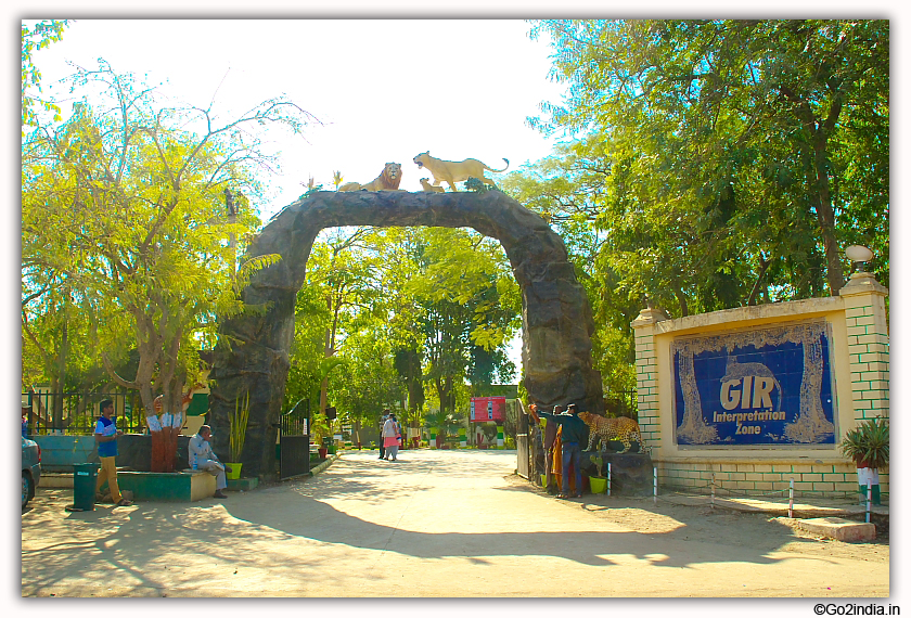 Sasan Gir Jungle Safari by Jeep