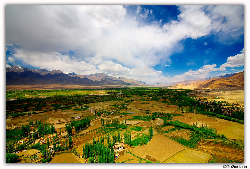 View from top of the Thiksey monastery leh