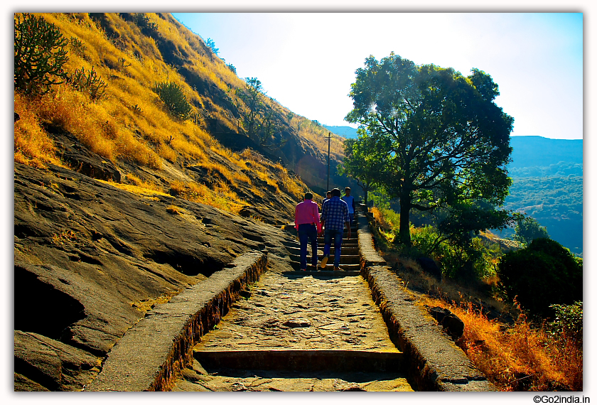 Bhaja Caves