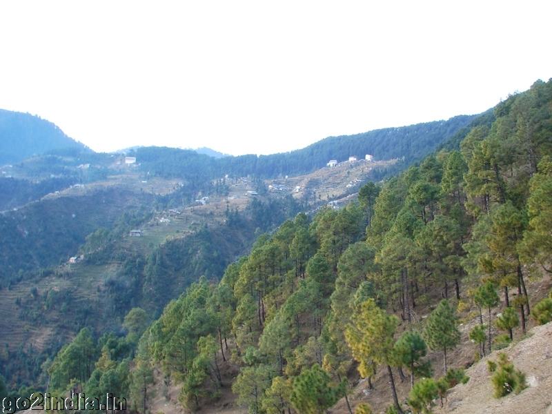 Khajjiar to Chamba trekking view