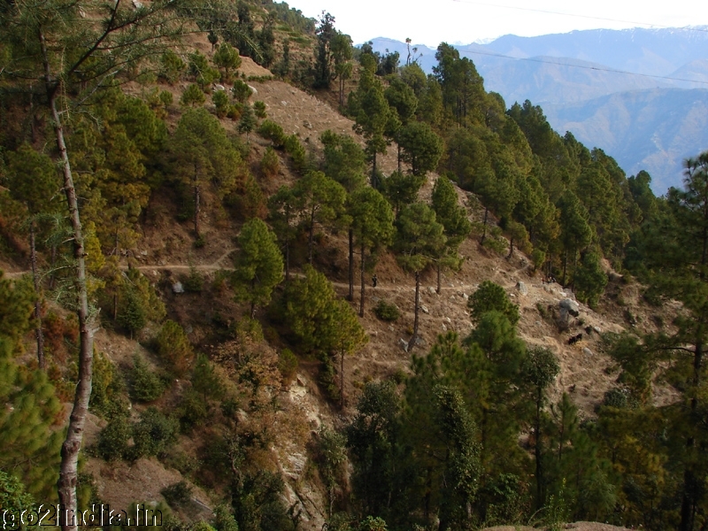 Landscape view of Khajjiar to Chamba trekking