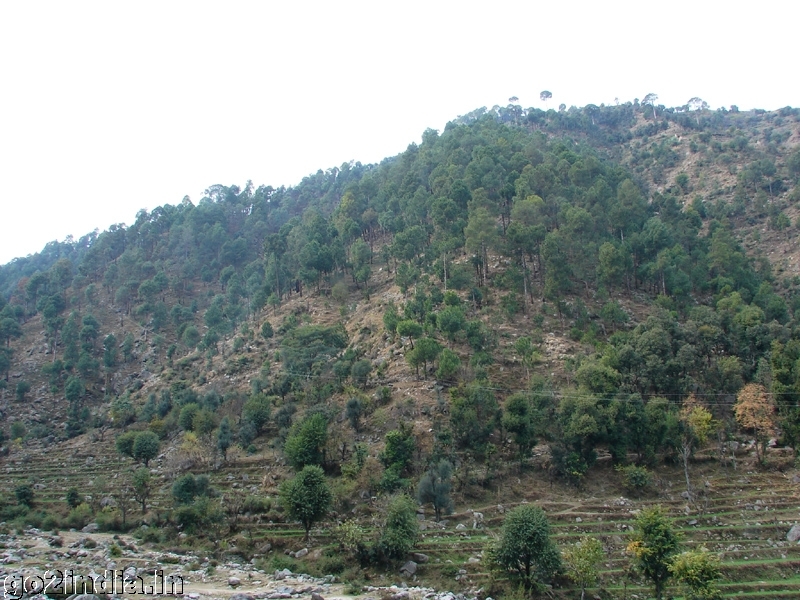Hills by the side of trekking rout