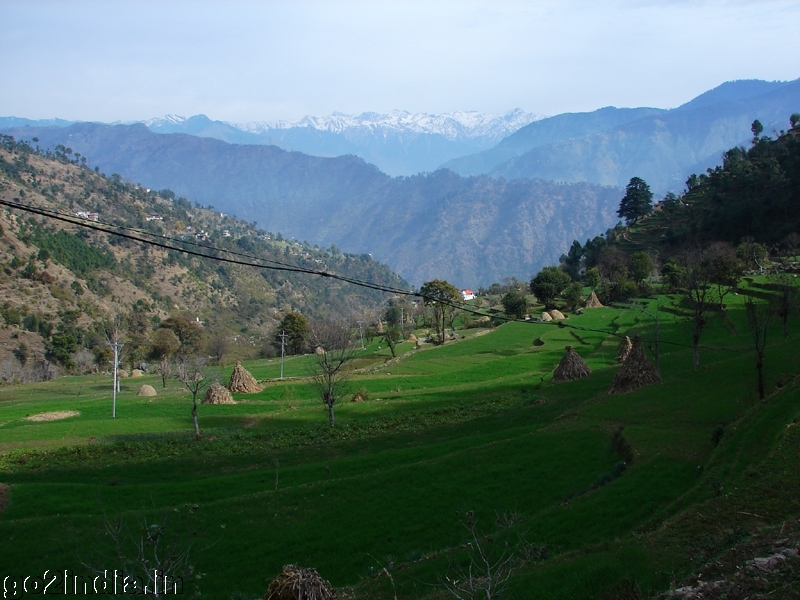 Green view on tekking rout
