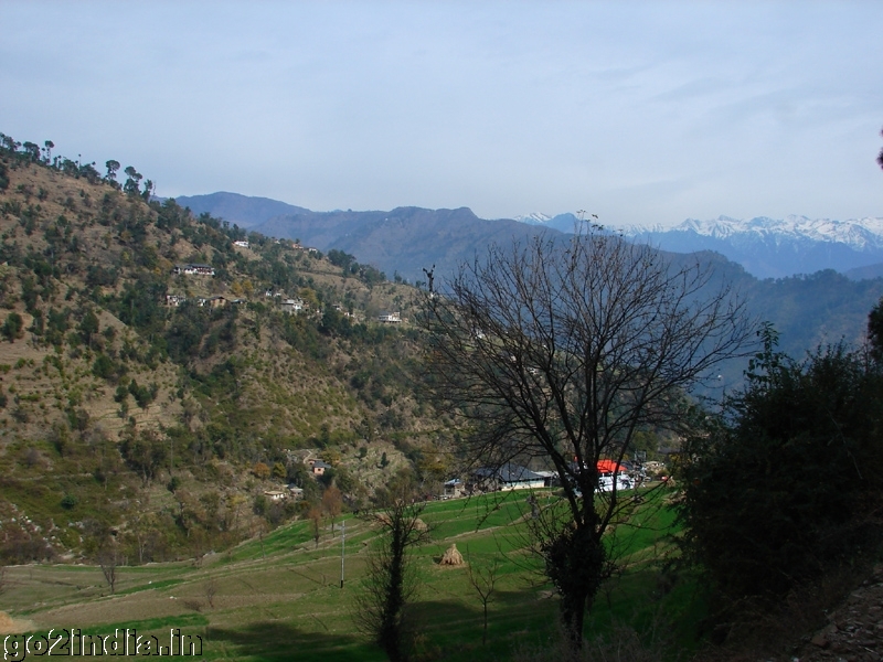 Green valley on the way to Khajjiar